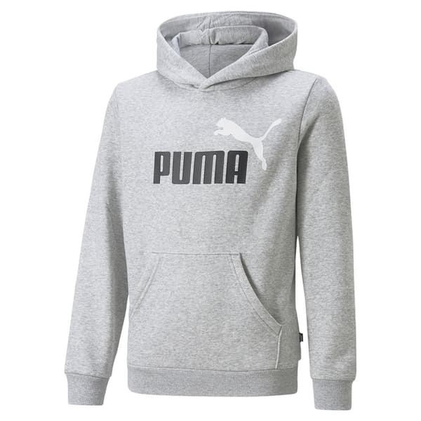 Puma Ess+ 2 Col Big Logo Fl B Tröja Med Huva Grå 14-16 Years Pojke