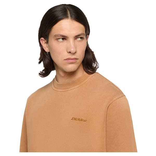 Dickies Plentywood Tröja Brun L Man