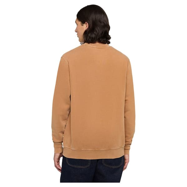 Dickies Plentywood Tröja Brun L Man