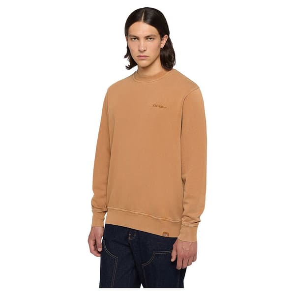Dickies Plentywood Tröja Brun L Man