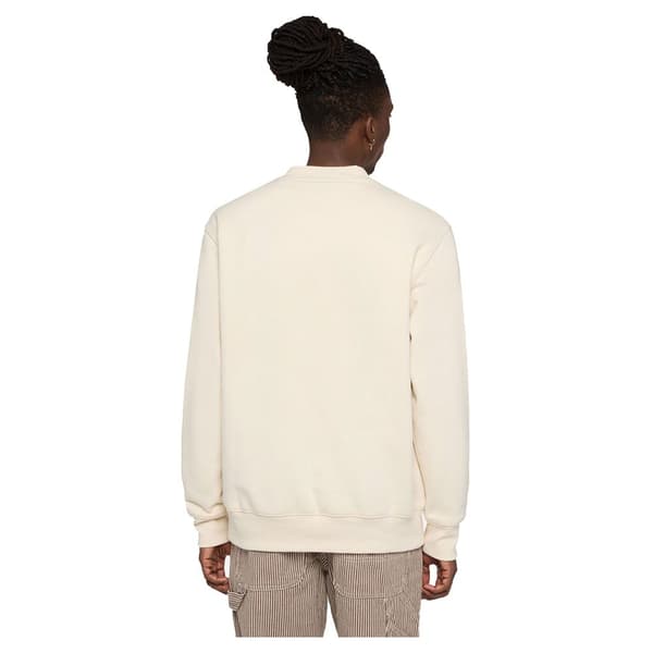 Dickies Summerdale Tröja Beige L Man
