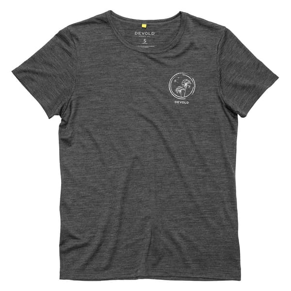 Devold Of Norway Active Spring T-shirt Med Korta ärmar Grå XS Kvinna