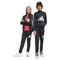 Pikkukuva 1 / 9: Adidas Essentials Big Logo Climacool Verkkapuku Musta 13-14 Years Poika