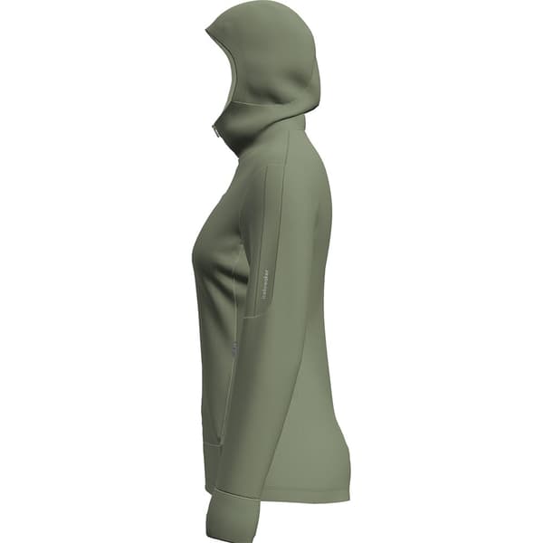 Icebreaker Merino 260 Quantum Iv Sweatshirt Med Lynlås Grøn XL Kvinde
