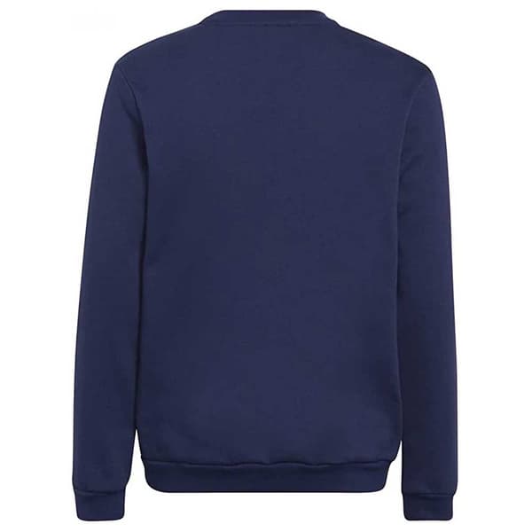 Adidas Entrada 22 Stadium Sw Huppari Sininen 13-14 Years Poika
