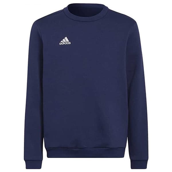 Adidas Entrada 22 Stadium Sw Huppari Sininen 13-14 Years Poika