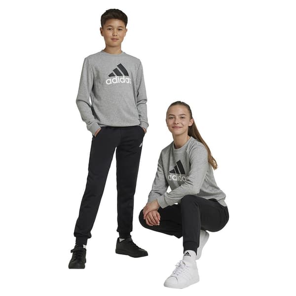 Adidas Essentials Big Logo French Terry Joggers Træningsdragt Grå 7-8 Years Dreng