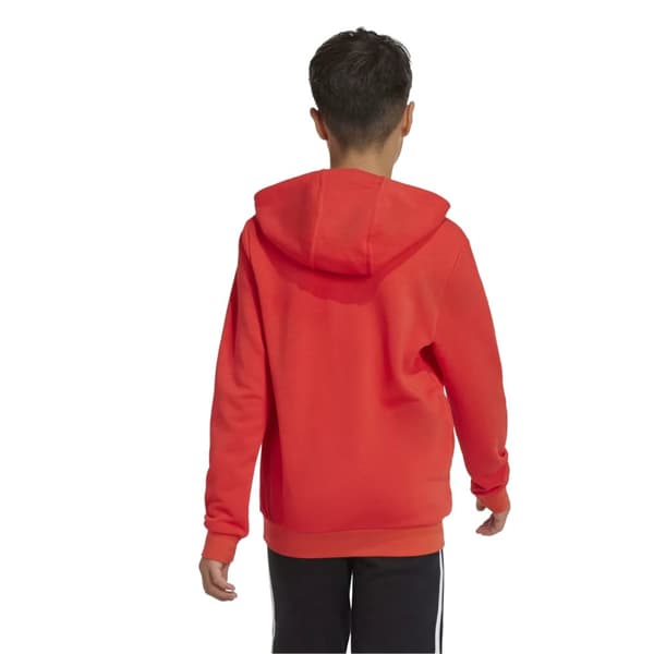 adidas Big Logo Jr Hoodie IX9531, Barn, Tröjor, Röd