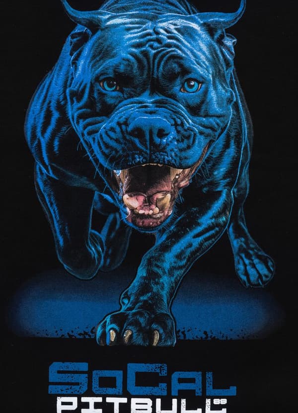 Pit Bull -huppari sinisessä Crewneck-kauluksessa musta L