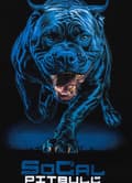 Pikkukuva 4 / 8: Pit Bull -huppari sinisessä Crewneck-kauluksessa musta L