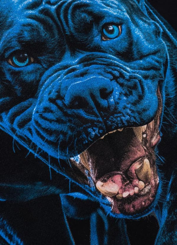 Pit Bull -huppari sinisessä Crewneck-kauluksessa musta L