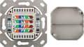 Miniatyrbillede 4 af 8: Goobay Network vægstik indbygningsboks - 2x RJ45 / CAT6 - hvid
