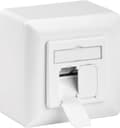 Miniatyrbillede 7 af 8: Goobay Network vægstik indbygningsboks - 2x RJ45 / CAT6 - hvid