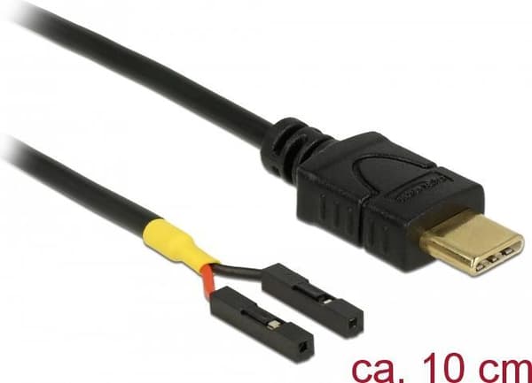 DeLOCK - USB-kabel - USB-C (M) til 2-benet USB-header (W) separat - USB 2.0 - 10 cm - sort