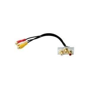 Kindermann - Modulär frontplatta Snap-In - RCA X 3