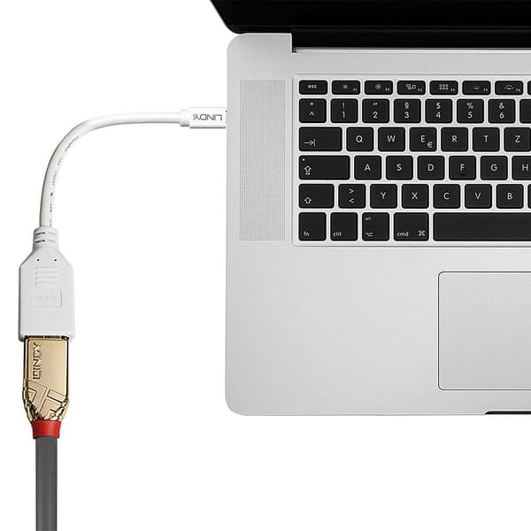 Lindy - DisplayPort adapter - Mini DisplayPort (M) til DisplayPort (W) - 15 cm - hvid