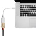 Miniatyrbillede 3 af 5: Lindy - DisplayPort adapter - Mini DisplayPort (M) til DisplayPort (W) - 15 cm - hvid