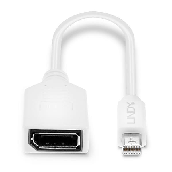 Lindy - DisplayPort adapter - Mini DisplayPort (M) til DisplayPort (W) - 15 cm - hvid