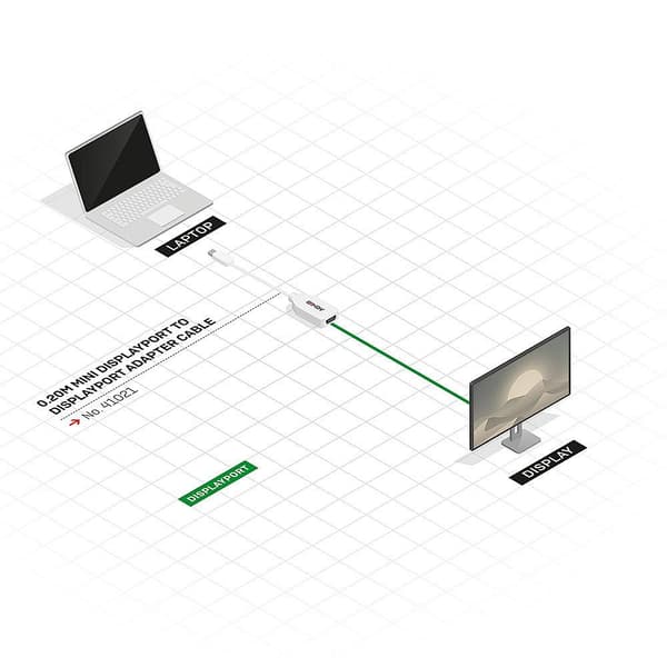 Lindy - DisplayPort adapter - Mini DisplayPort (M) til DisplayPort (W) - 15 cm - hvid