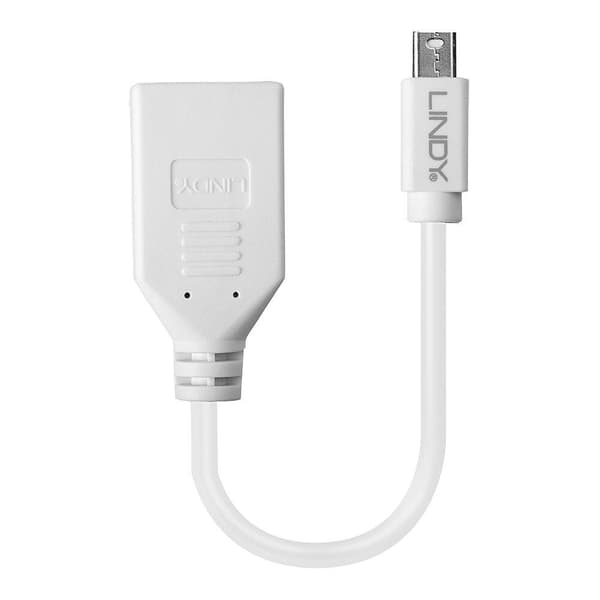 Lindy - DisplayPort adapter - Mini DisplayPort (M) til DisplayPort (W) - 15 cm - hvid