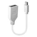 Miniatyrbillede 1 af 5: Lindy - DisplayPort adapter - Mini DisplayPort (M) til DisplayPort (W) - 15 cm - hvid