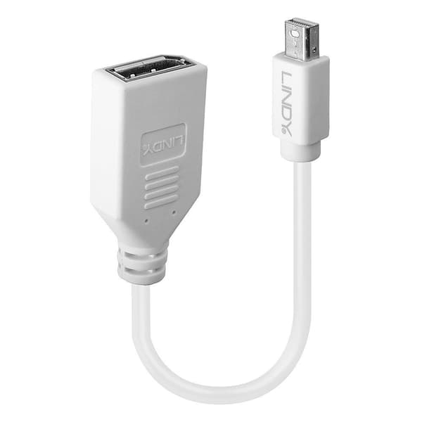 Lindy - DisplayPort adapter - Mini DisplayPort (M) til DisplayPort (W) - 15 cm - hvid