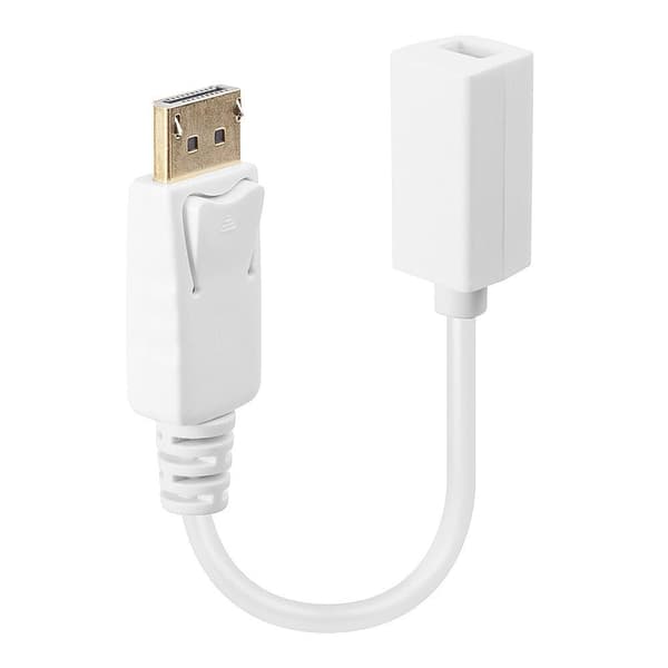 Lindy - DisplayPort-adapter - DisplayPort (M) - Mini DisplayPort (W) - 15 cm (DisplayPort 1.1) - hvid (41060)