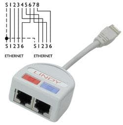 Lindy UTP Port Doubler - Network Splitter - RJ-45 (M) - RJ-45 (W) - UTP - CAT 6 (34002)