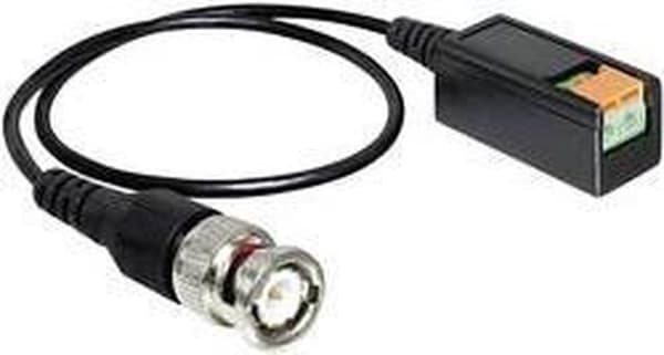 Delock - Kabel BNC Stecker zu Terminalblok 2 Pin 30 cm
