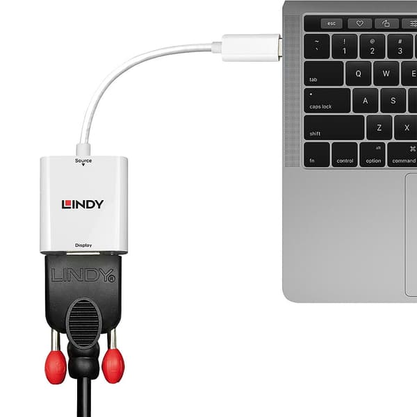Lindy - Videoadapter - Mini DisplayPort (M) till HD-15 (VGA) (W) - DisplayPort 1.2 - 1.6m - stöder 1920 x 1080 vid 60 Hz - vit (38317)