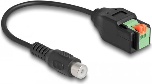 Delock - Ljudadapter - 2-stifts plint till RCA hona - 15cm - Svart (66327)