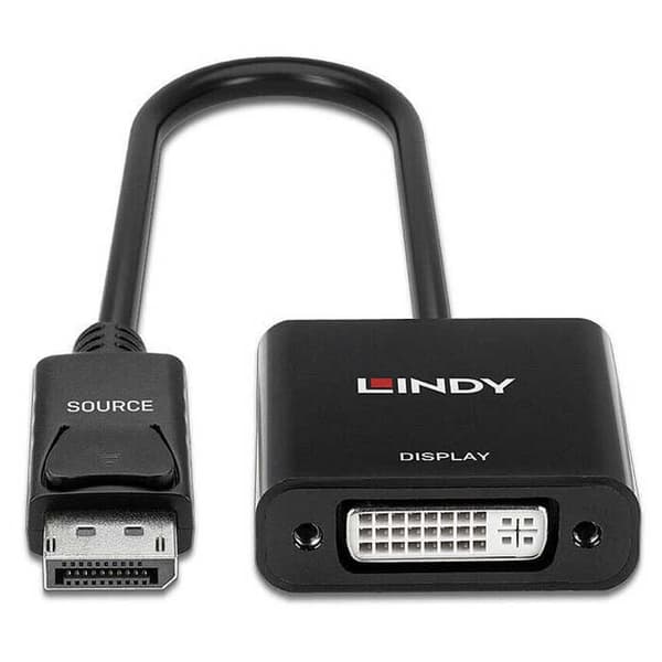 Lindy Iec 1 M Displayport-dvi-sovitin Hopeinen