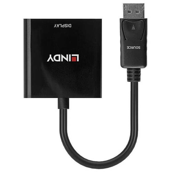 Lindy Iec 1 M Displayport-dvi-sovitin Hopeinen