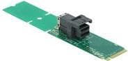 DeLOCK Adapter M.2 Key M till SFF-8643 NVMe 22110 / 2280 / 2260 - Gränssnittsadapter - M.2 - U.2 NVMe - M.2 Card