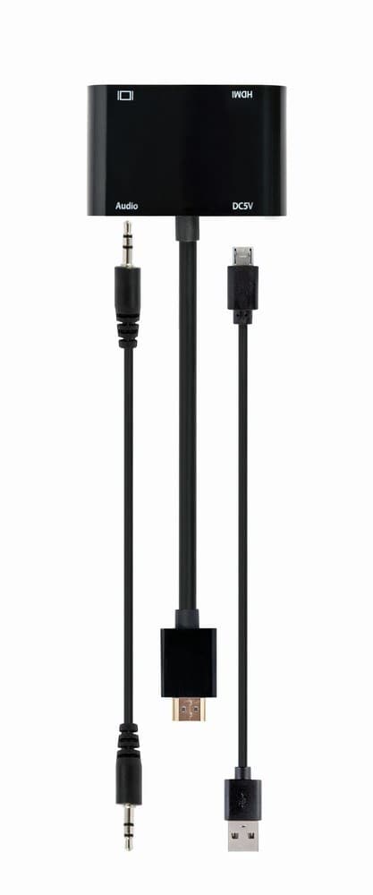 Gembird A-HDMIM-HDMIFVGAF-01 liitäntäkortit/sovitin HDMI, VGA