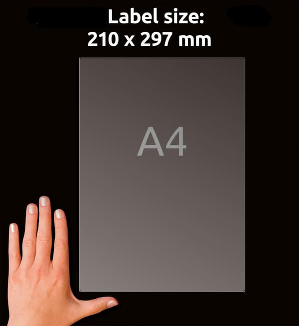 Etikett AVERY transp 210x297mm 25/fp
