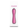 Miniatyrbild 3 av 4: Minivibrator NS Novelties Charms Flora Blå Rosa