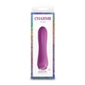 Miniatyrbild 4 av 4: Minivibrator NS Novelties Charms Fern Ruby Röd