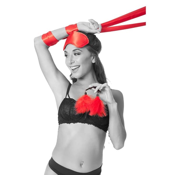 Lustask Large Pleasure Kit Sportsheets Beginner 3 Delar