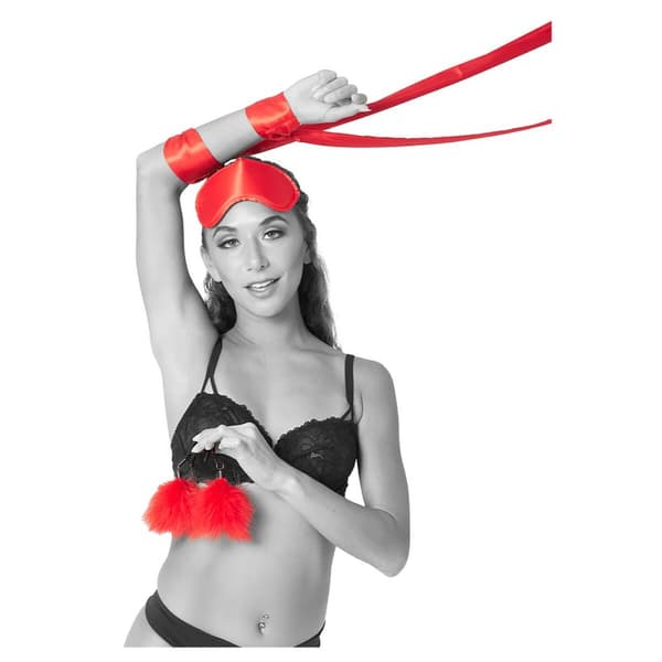 Lustask Large Pleasure Kit Sportsheets Beginner 3 Delar