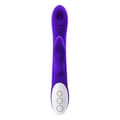 Pikkukuva 4 / 8: G-pistevibraattori Evolved Stim Vibe Purppura