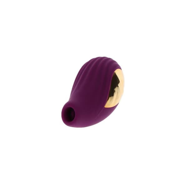 Vibrator Toy Joy Purpur