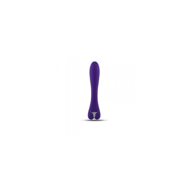 Vibraattori Toyz4lovers Purppura