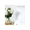 Miniatyrbild 6 av 8: Analplugg Blush Avant Multicolour (8,9 cm) (7,6 cm)