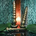 Miniatyrbild 6 av 11: Analplugg Evolved Brun