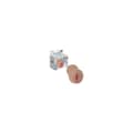 Miniatyrbild 1 av 2: Endurance Jack Ass XR