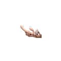 Miniatyrbild 2 av 7: Smekningsapparat Double Penetration XR