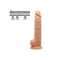 Miniatyrbillede 2 af 3: Dildo Silexd