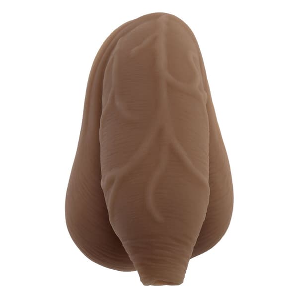 Realistisk dildo Gender X Gender X TPE Ø 4,3 cm