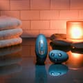 Miniatyrbild 2 av 11: Vibrator Evolved Svart